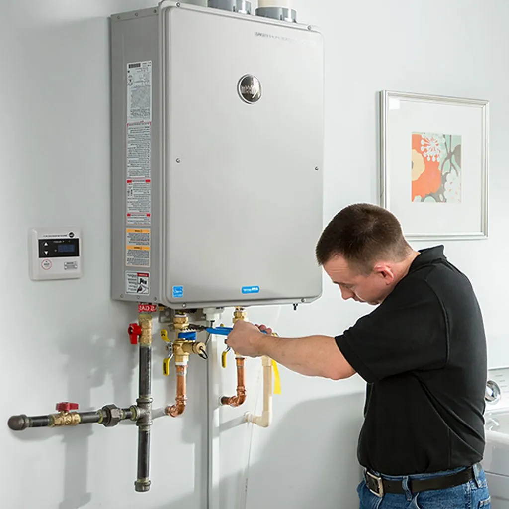 tankless water heater repair in Allegany, OR